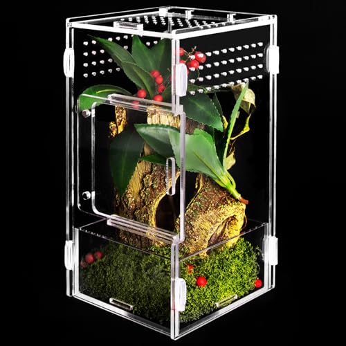 Springspinnengehege aus Acryl, Insekten-Lebensraum, Spinnen-Käfig für kleine Wirbellose, Käfer-Terrarium, Betermantis & Vogelspinne, transparentes Insekten-Vivarium, kleiner Reptilienlebensraum von NOVEMBER SPRING
