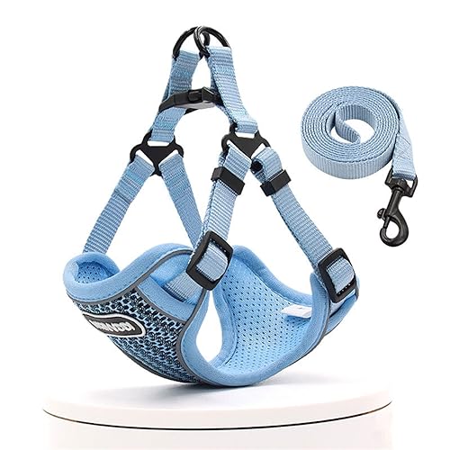 Hundegeschirr und Leine, Set für kleine und mittelgroße Hunde, atmungsaktives Netzgeschirr, französische Bulldogge, Haustier-Spaziergangstrainingszubehör (Farbe: Blau, Größe: 28) von NOVSKI