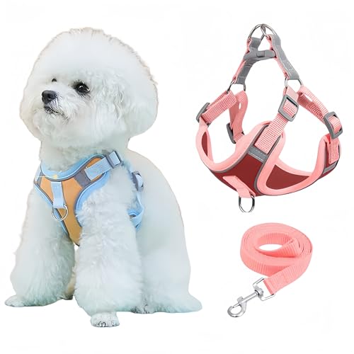 NOWFRESH Hundegeschirr und Leine für Katzen und kleine Hunde: Verstellbare Weste, weich, auslaufsicher, atmungsaktiv, mit reflektierenden Streifen für einfache Kontrolle (rot und rosa), S, Rosarot von NOWFRESH