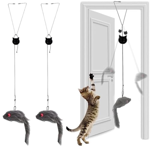 4 Stück Katzenspielzeug Selbstbeschäftigung Hängende Trrahmen Katzenspielzeu mit Elastische Maus, Interaktives Dancer Katzenspielzeug Mäuse, für Katzen Katzenspielzeu mit Elastische Maus cat Toys 4 Stück Katzenspielzeug Selbstbeschäftigung Hängende Trrahmen Katzenspielzeu mit Elastische Maus, Interaktives Dancer Katzenspielzeug Mäuse, für Katzen Katzenspielzeu mit Elastische Maus cat Toys von NOXYZA