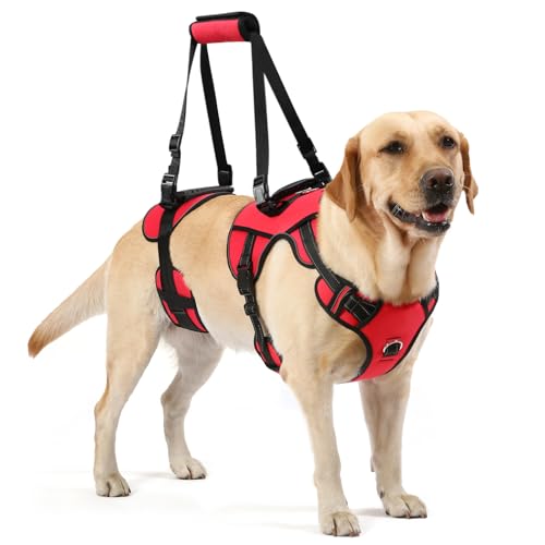 NOYAL Dog Lift Harness Pet Support Rehabilitation Sling Lift Front-Only, Rear-Only or Full Body for Old, Disabled, Joint Injuries, Arthritis, Loss of Stability Dogs von NOYAL