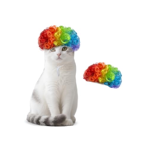 Haare Haartierhaarstück Brille Für Hunde Katzen Cosplay Halloween Weihnachtsgeburtstagsfeier Kopfbedeckung Halloween Haustierzubehör Haare Haartierhaarstück Brille Für Hunde Katzen Cosplay Halloween Weihnachtsgeburtstagsfeier Kopfbedeckung Halloween Haustierzubehör von NPXUAMTJ