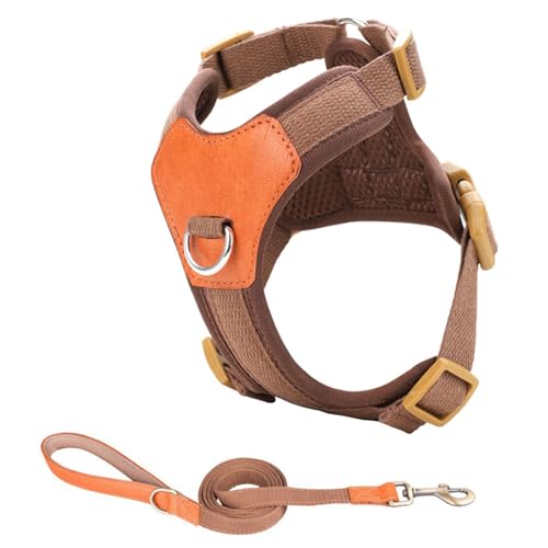 Hundegeschirr für kleine Hunde, ohne Ziehen, mit Leine, verstellbarer Clip, bequemer und sicherer Clip Hundegeschirr für kleine Hunde, ohne Ziehen, mit Leine, verstellbarer Clip, bequemer und sicherer Clip von NPXUAMTJ