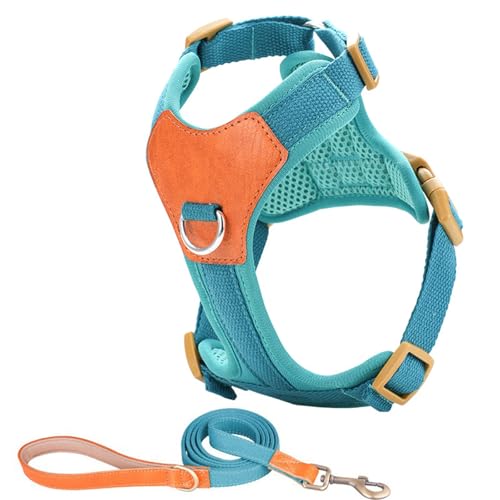 Hundegeschirr für kleine Hunde, ohne Ziehen, mit Leine, verstellbarer Clip, bequemer und sicherer Clip Hundegeschirr für kleine Hunde, ohne Ziehen, mit Leine, verstellbarer Clip, bequemer und sicherer Clip von NPXUAMTJ
