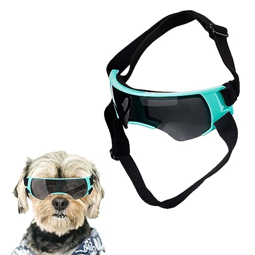Hundebrille für Kleine Hunde, Winddicht Hundesonnenbrille mit Verstellbarem Riemen Welpen-Sonnenbrille für Kleine Mittelgroße Hunde Augenschutzbrille für Outdoor Reiten Autofahren (Blau) von NQEUEPN