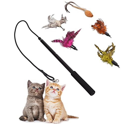 NSXAYIWE Katzen-Feder-Teaser-Zauberstab, einziehbares Katzen-Angelrute-Spielzeug, interaktives Katzenspielzeug mit Glocken, Aluminium-Zauberstab und Feder-Set für Katzen und Kätzchen NSXAYIWE Katzen-Feder-Teaser-Zauberstab, einziehbares Katzen-Angelrute-Spielzeug, interaktives Katzenspielzeug mit Glocken, Aluminium-Zauberstab und Feder-Set für Katzen und Kätzchen von NSXAYIWE