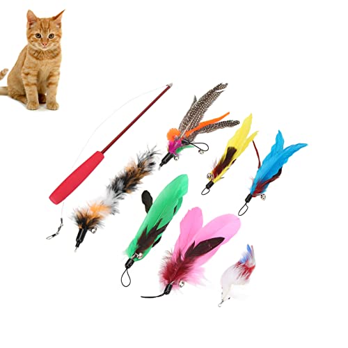 NSXAYIWE Katzen-Federstab-Spielzeug, interaktiver Katzen-Teaser-Stick mit Verstellbarer Länge und bequemem Griff, 9-teiliges Set mit Federspielzeug und Plüschmaus NSXAYIWE Katzen-Federstab-Spielzeug, interaktiver Katzen-Teaser-Stick mit Verstellbarer Länge und bequemem Griff, 9-teiliges Set mit Federspielzeug und Plüschmaus von NSXAYIWE