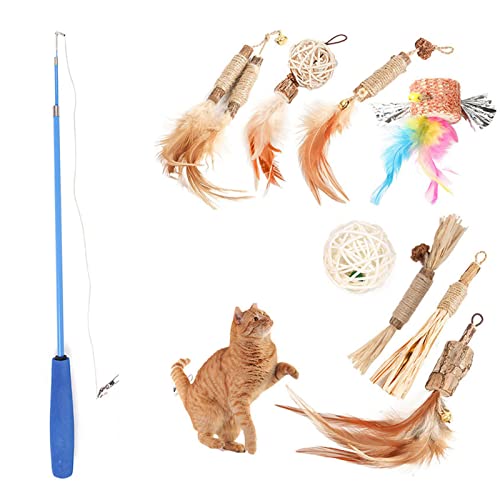 NSXAYIWE Katzenfederspielzeug-Set mit 6 Ersatzköpfen, interaktives Katzenspielzeug für Hauskatzen, leichtes Katzenspielzeug für spannende Spielzeit NSXAYIWE Katzenfederspielzeug-Set mit 6 Ersatzköpfen, interaktives Katzenspielzeug für Hauskatzen, leichtes Katzenspielzeug für spannende Spielzeit von NSXAYIWE