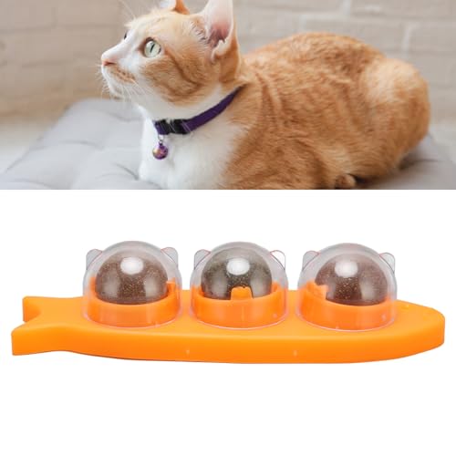 NSXAYIWE Katzenminze-Bälle für Katzen, interaktives Kauspielzeug mit starkem Kleber und 360-Grad-Drehung, Zahnreinigungs-Katzenminze-Spielzeug für Hauskatzen mit Staubschutz NSXAYIWE Katzenminze-Bälle für Katzen, interaktives Kauspielzeug mit starkem Kleber und 360-Grad-Drehung, Zahnreinigungs-Katzenminze-Spielzeug für Hauskatzen mit Staubschutz von NSXAYIWE
