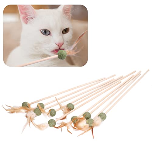 NSXAYIWE Lustiger Katzenstab, interaktives Zahnreinigungs-Katzenstab-Spielzeug mit Katzenminze-Ball, 10-teiliges Set mit Federn, lustiger Katzenstab für Hauskatzen und Kätzchen NSXAYIWE Lustiger Katzenstab, interaktives Zahnreinigungs-Katzenstab-Spielzeug mit Katzenminze-Ball, 10-teiliges Set mit Federn, lustiger Katzenstab für Hauskatzen und Kätzchen von NSXAYIWE