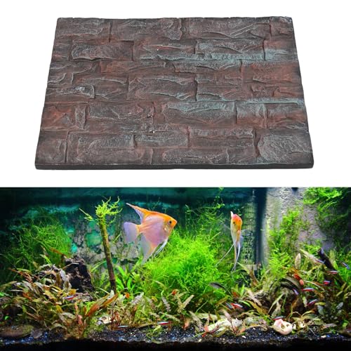 NSXAYIWE Steinaquariumhintergrund, 3D -Effektschaumfischtank Hintergrundwand für Aquariumfischtank, Reptilienhintergrund für Terrarium (D) von NSXAYIWE