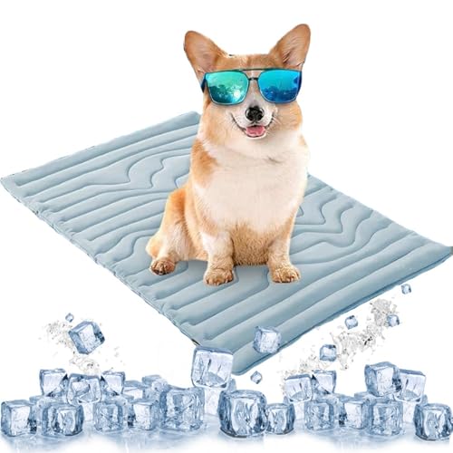 NTDMSFWM Kühlmatte for Hunde – Selbstkühlendes Pad for Hunde und Katzen, doppelseitige Eisseide, waschbare Sommer-Kühlmatte for Haustiere for Kiste, Bett, Sofa, Reisegebrauch(Blauw,59x40in) von NTDMSFWM
