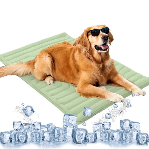 NTDMSFWM Kühlmatte for Hunde – Selbstkühlendes Pad for Hunde und Katzen, doppelseitige Eisseide, waschbare Sommer-Kühlmatte for Haustiere for Kiste, Bett, Sofa, Reisegebrauch(Green,20x16in) von NTDMSFWM
