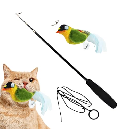NUDGE Katzenspielzeug in Vogelform, interaktives Spielzeug für Haustiere, Kätzchen, Welpen von NUDGE