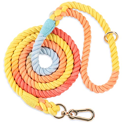 Nugutic Hundeleine, handgefertigt, geflochtenes Seil, für kleine, mittelgroße und große Hunde, 1,2 m, Regenbogen Nugutic Hundeleine, handgefertigt, geflochtenes Seil, für kleine, mittelgroße und große Hunde, 1,2 m, Regenbogen von NUGUTIC
