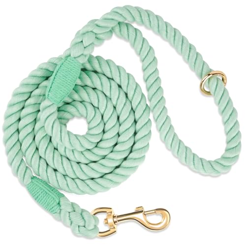 NUGUTIC Rope Hundeleine, handgefertigt, geflochtenes Baumwollseil mit robustem Metallverschluss, für kleine, mittelgroße und große Hunde, 1,5 m, Hellgrün NUGUTIC Rope Hundeleine, handgefertigt, geflochtenes Baumwollseil mit robustem Metallverschluss, für kleine, mittelgroße und große Hunde, 1,5 m, Hellgrün von NUGUTIC