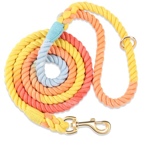NUGUTIC Hundeleine, handgefertigt, geflochtenes Seil, für kleine, mittelgroße und große Hunde, 152 cm (Bunter Regenbogen) NUGUTIC Hundeleine, handgefertigt, geflochtenes Seil, für kleine, mittelgroße und große Hunde, 152 cm (Bunter Regenbogen) von NUGUTIC