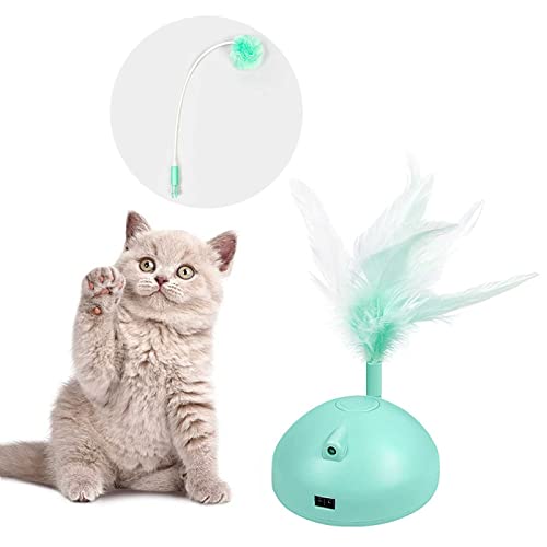 Automatischer Spaß Katze Queue Elektrische Katze Spielzeug Interaktives Federspielzeug unregelmäßig bewegliche LED-Lichtkugel für Haustier Katzen/Katzen Automatischer Spaß Katze Queue Elektrische Katze Spielzeug Interaktives Federspielzeug unregelmäßig bewegliche LED-Lichtkugel für Haustier Katzen/Katzen von NUL