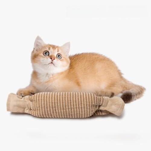NULIYA Katzenspielzeug, Katzenspielzeug, 50 cm, Bonbonformen, interaktives Spielzeug für den Innenbereich (integriertes Minzgrün, kann ersetzt werden) von NULIYA