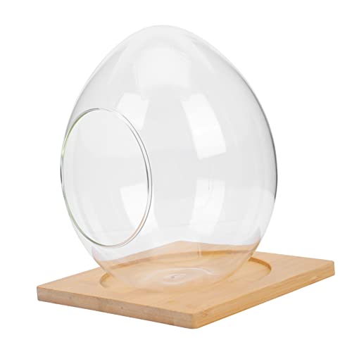 NULYLU 1 Satz Eiförmige Glasflasche Hydrokulturterrarium selber Bauen Blumenvase Tischdekoration wohnzimmerdeko inneneinrichtung ökologische Glasflasche hydrokulturpflanzen Terrarium Holz NULYLU 1 Satz Eiförmige Glasflasche Hydrokulturterrarium selber Bauen Blumenvase Tischdekoration wohnzimmerdeko inneneinrichtung ökologische Glasflasche hydrokulturpflanzen Terrarium Holz von NULYLU