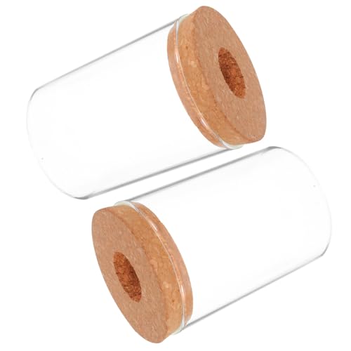 NULYLU 2 Stück Glas hydrokultur Pflanzenflasche Transparenter Desktop Terrarium Planter für Sukkulenten Moos Betta Aquarium Büro Wohnraumdekoration NULYLU 2 Stück Glas hydrokultur Pflanzenflasche Transparenter Desktop Terrarium Planter für Sukkulenten Moos Betta Aquarium Büro Wohnraumdekoration von NULYLU