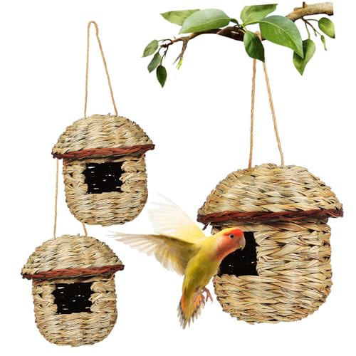 NULYLU 3St Vogelnest Papageienhaus Lovebird-Nest Vogelhaus aus Vogelbrutnest Vogelhäuschen für draußen Kolibri-Häuschen hängende Vogelhütte Sittich Nest Strohmaisschalen Light Green NULYLU 3St Vogelnest Papageienhaus Lovebird-Nest Vogelhaus aus Vogelbrutnest Vogelhäuschen für draußen Kolibri-Häuschen hängende Vogelhütte Sittich Nest Strohmaisschalen Light Green von NULYLU