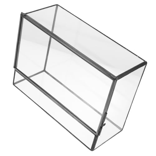 NULYLU Box Glas Landschaftsbau Tank Dekorativer Glasbehälter Terrarium Glas Moos Terrarium Kleines Terrarium Moos Landschaftsbehälter Mooshalter Terrarium Moospflanzen Etui NULYLU Box Glas Landschaftsbau Tank Dekorativer Glasbehälter Terrarium Glas Moos Terrarium Kleines Terrarium Moos Landschaftsbehälter Mooshalter Terrarium Moospflanzen Etui von NULYLU