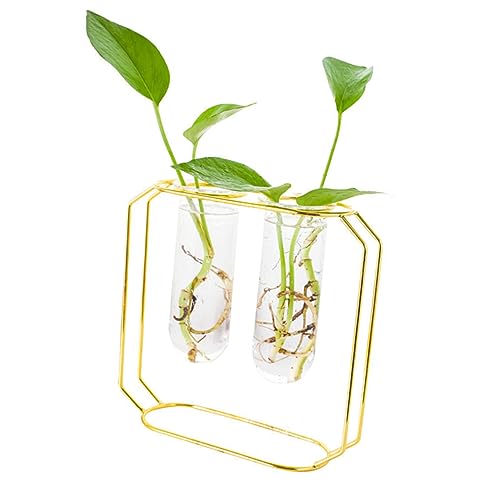 NULYLU 2er Set Blumentöpfe Stilvolle Pflanzenvase Für Wohnkultur Dekorative Glasbehälter Für Tisch Und Büro Hydrokultur Pflanzenarrangement NULYLU 2er Set Blumentöpfe Stilvolle Pflanzenvase Für Wohnkultur Dekorative Glasbehälter Für Tisch Und Büro Hydrokultur Pflanzenarrangement von NULYLU