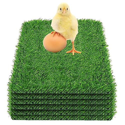 6 Stück Hühnerbox-Matten, 12"X12"X1" Waschbare Künstlich Hühnernistkasten-Pads Nistunterlagen für Hühner, Kunstrasen Matte für Hühnerstall und Haustiergartenrasen von NUMAD