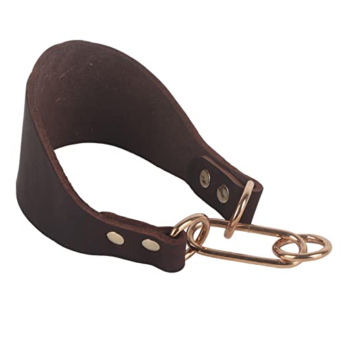 Haustierkragen tragbar wachsen mit Nietfixing in Brown für Small Dog Greyhound Whippet Haustierkragen tragbar wachsen mit Nietfixing in Brown für Small Dog Greyhound Whippet von NUMNBE