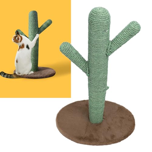 Kratzbaum für Katzen mit Sockel aus Kiefernholz – langlebiger Kratzbaum Kaktus für Hauskatzen, Dicke Säulen mit Lammwolle und Jute, großer Kratzbaum für Erwachsene und Kätzchen Kratzbaum für Katzen mit Sockel aus Kiefernholz – langlebiger Kratzbaum Kaktus für Hauskatzen, Dicke Säulen mit Lammwolle und Jute, großer Kratzbaum für Erwachsene und Kätzchen von NUMNBE