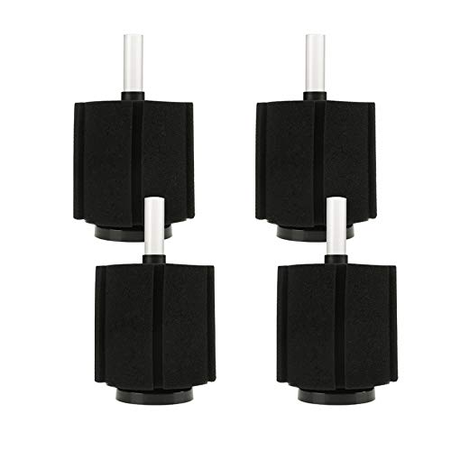 NUMNBE AQUARIUMSCHAUMSTOFFFILTER FüR FISCHBECKEN - 4ER Set - LANGLEBIG UND UMWELTFREUNDLICH - VERBESSERT BIOLOGISCHE Filtration - FüR KLEINE Fische GEEIGNET NUMNBE AQUARIUMSCHAUMSTOFFFILTER FüR FISCHBECKEN - 4ER Set - LANGLEBIG UND UMWELTFREUNDLICH - VERBESSERT BIOLOGISCHE Filtration - FüR KLEINE Fische GEEIGNET von NUMNBE