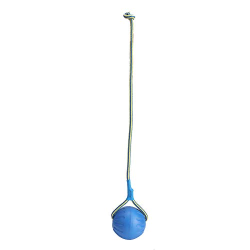 NUMNBE Hundeballspielzeug kauen interaktiver Seilblau 9 cm Haustierunterhaltung NUMNBE Hundeballspielzeug kauen interaktiver Seilblau 9 cm Haustierunterhaltung von NUMNBE