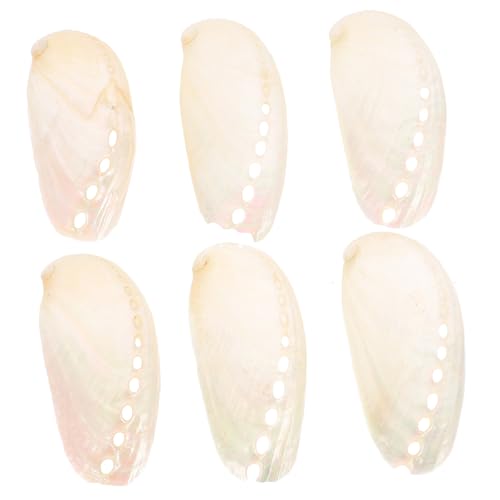 NUOBESTY 6 Stück Teiliges Natürliche Abalone Muscheln Dekorative Schalen für Strandhochzeit DIY Heimdeko Bastelornament Authentische Ovale Meeresschale von NUOBESTY