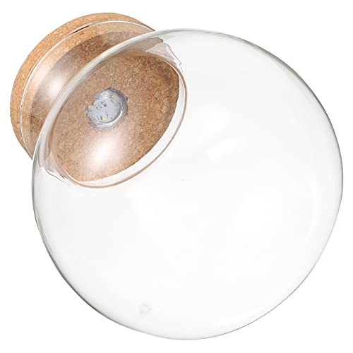 NUOBESTY Landschaftsflasche Tank Fisch Aquarium Terrarium Flasche Led-Topf Glaswaren Sehr Glas Mit Deckel Mikrolandschaftshalter Hochwertiges von NUOBESTY
