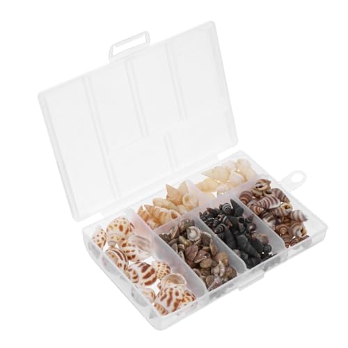 NUOBESTY Natürliche Conch Muschel Dekorationen Für Aquarium Fischtank Aquarien Landschaftsbau Deko Ornamente Für Garnelenbecken Süß Und Meerwasser Geeignet von NUOBESTY