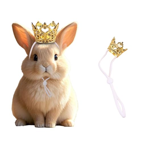 NUOSYI Mini Crown Haustierzubehör, Gold und Silber, verstellbares Gummiband (Gold, elastisch) von NUOSYI