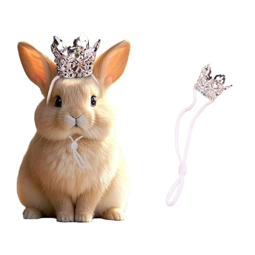 NUOSYI Mini Crown Haustierzubehör, Gold und Silber, verstellbares Gummiband (Silber, elastisch) von NUOSYI
