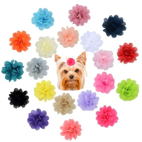 NUOSYI Tierhaar-Accessoires, Chiffon-Blumenclips für Hunde, mehrfarbig, 20 Stück von NUOSYI