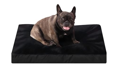 Hundebett, wasserdicht, Deluxe-Plüsch-Hundebetten mit abnehmbarem, waschbarem Bezug, rutschfeste Unterseite, Haustier-Schlafmatratze für große, mittelgroße und kleine Hunde, 58,4 x 43,2 cm, Schwarz Hundebett, wasserdicht, Deluxe-Plüsch-Hundebetten mit abnehmbarem, waschbarem Bezug, rutschfeste Unterseite, Haustier-Schlafmatratze für große, mittelgroße und kleine Hunde, 58,4 x 43,2 cm, Schwarz von NUPIDA