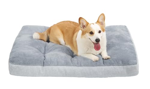 Hundebett für mittelgroße Hunde mit Kissen, 73 x 45 cm, Grau von NUPIDA