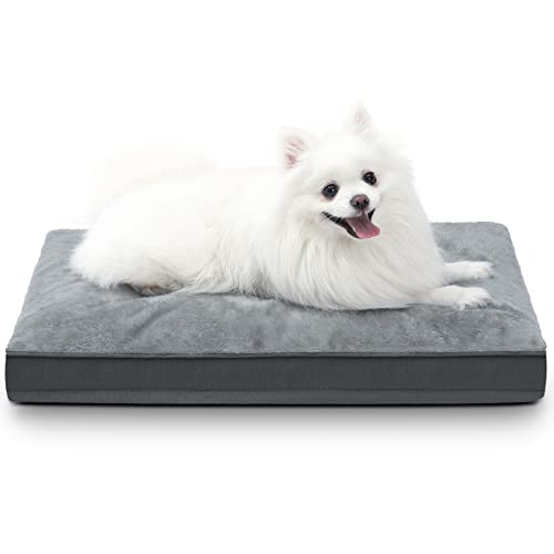 Hundebett, wasserdicht, Deluxe-Plüsch-Hundebett mit abnehmbarem, waschbarem Bezug, rutschfeste Unterseite, Haustier-Schlafmatratze für große, mittelgroße und kleine Hunde, 58,4 x 43,2 cm, Grau Hundebett, wasserdicht, Deluxe-Plüsch-Hundebett mit abnehmbarem, waschbarem Bezug, rutschfeste Unterseite, Haustier-Schlafmatratze für große, mittelgroße und kleine Hunde, 58,4 x 43,2 cm, Grau von NUPIDA