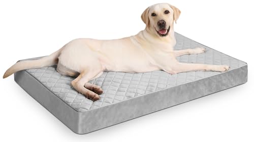 NUPIDA Jumbo-Hundebett, orthopädisch, mit abnehmbarem, waschbarem Bezug, rutschfeste Unterseite, geeignet für Käfige, 134 x 91 cm, Hellgrau NUPIDA Jumbo-Hundebett, orthopädisch, mit abnehmbarem, waschbarem Bezug, rutschfeste Unterseite, geeignet für Käfige, 134 x 91 cm, Hellgrau von NUPIDA