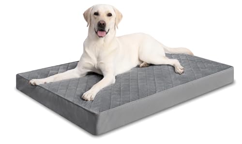 NUPIDA Orthopädische Hundebetten, groß, wasserdichtes Futter mit abnehmbarem, waschbarem Bezug und rutschfester Unterseite, gestepptes Hundebett für Käfige, 89 x 58 cm, Dunkelgrau NUPIDA Orthopädische Hundebetten, groß, wasserdichtes Futter mit abnehmbarem, waschbarem Bezug und rutschfester Unterseite, gestepptes Hundebett für Käfige, 89 x 58 cm, Dunkelgrau von NUPIDA