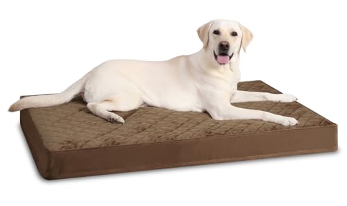 NUPIDA Orthopädisches Hundebett, groß, wasserdicht, mit abnehmbarem, waschbarem Bezug und rutschfester Unterseite, Steppung für Kiste, 89 x 58 cm, Braun NUPIDA Orthopädisches Hundebett, groß, wasserdicht, mit abnehmbarem, waschbarem Bezug und rutschfester Unterseite, Steppung für Kiste, 89 x 58 cm, Braun von NUPIDA