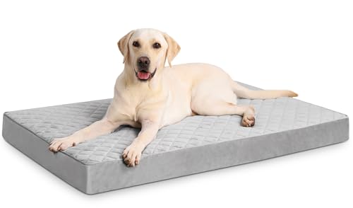 NUPIDA Orthopädisches XL-Hundebett, wasserdicht, mit abnehmbarem, waschbarem Bezug und Rutschfester Unterseite, Gesteppte Haustiermatratze für Kiste, 104 x 68 cm, Hellgrau von NUPIDA