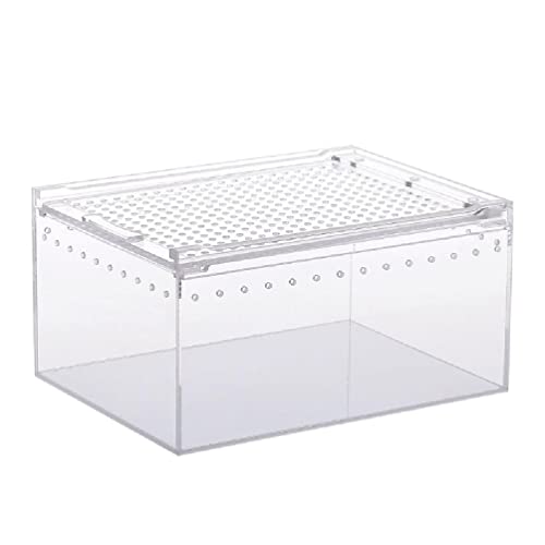 Futterbox Acryl Käfig Klar Design Würfel Container Für Spinnen Eidechsen Schnecke Schildkröten Kleine Haustier Substrate Für Dekorationen von NURCIX