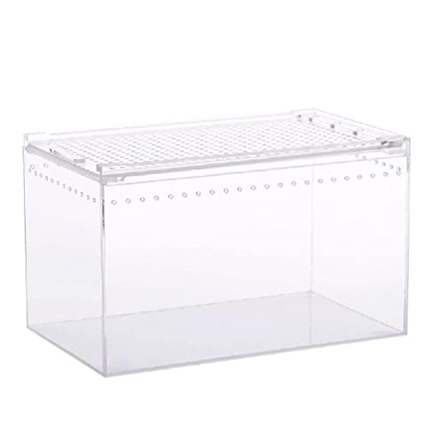Futterbox Acryl Käfig Klar Design Würfel Container Für Spinnen Eidechsen Schnecke Schildkröten Kleine Haustier Substrate Für Dekorationen von NURCIX