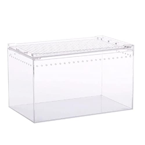 Futterbox Acryl Käfig Klar Design Würfel Container Für Spinnen Eidechsen Schnecke Schildkröten Kleine Haustier Substrate Für Dekorationen Futterbox Acryl Käfig Klar Design Würfel Container Für Spinnen Eidechsen Schnecke Schildkröten Kleine Haustier Substrate Für Dekorationen von NURCIX
