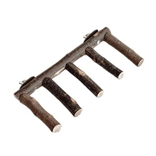 Papageien-Sitzstange aus Holz, Vogelleiter zum Kauen Stehen, Schleifkrallen, Spielzeug für kleine, mittelgroße Vögel, einfach zu befestigen, für Käfig, Vogelsitzstangen für Nymphensittiche, Sittiche, Papageien-Sitzstange aus Holz, Vogelleiter zum Kauen Stehen, Schleifkrallen, Spielzeug für kleine, mittelgroße Vögel, einfach zu befestigen, für Käfig, Vogelsitzstangen für Nymphensittiche, Sittiche, von NURCIX